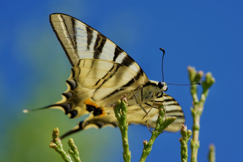 Photograph by Алексей Шевченко