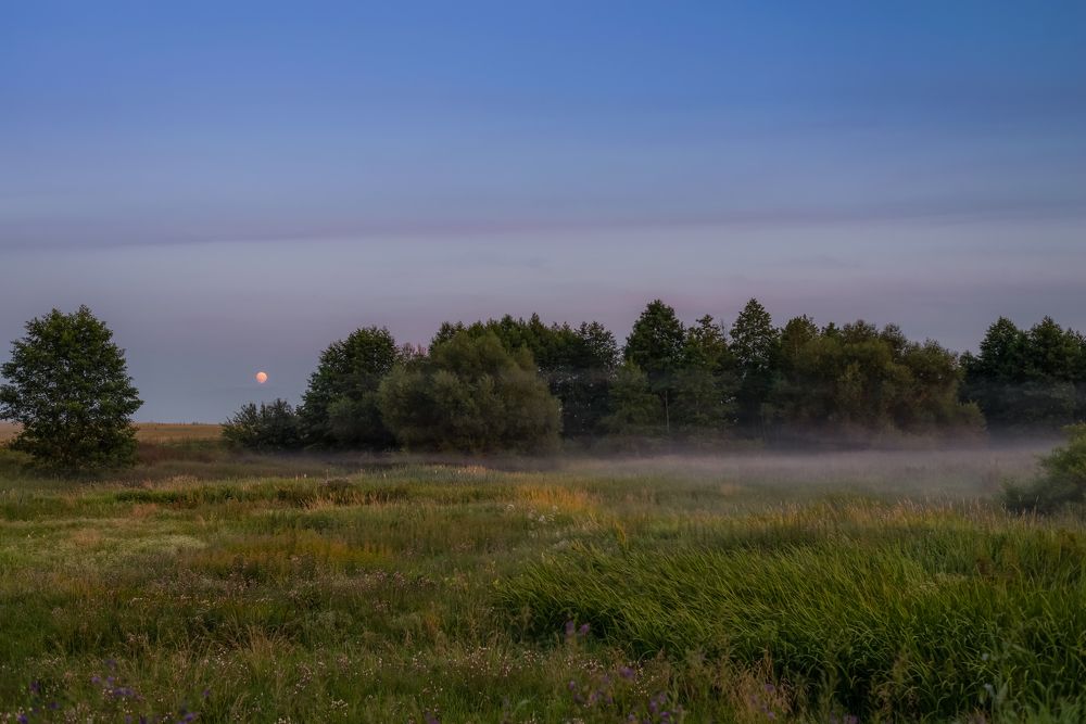 Фотография автора Александр Буренко