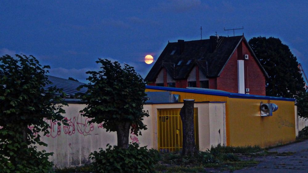 Photograph by Евгений Евдокимов