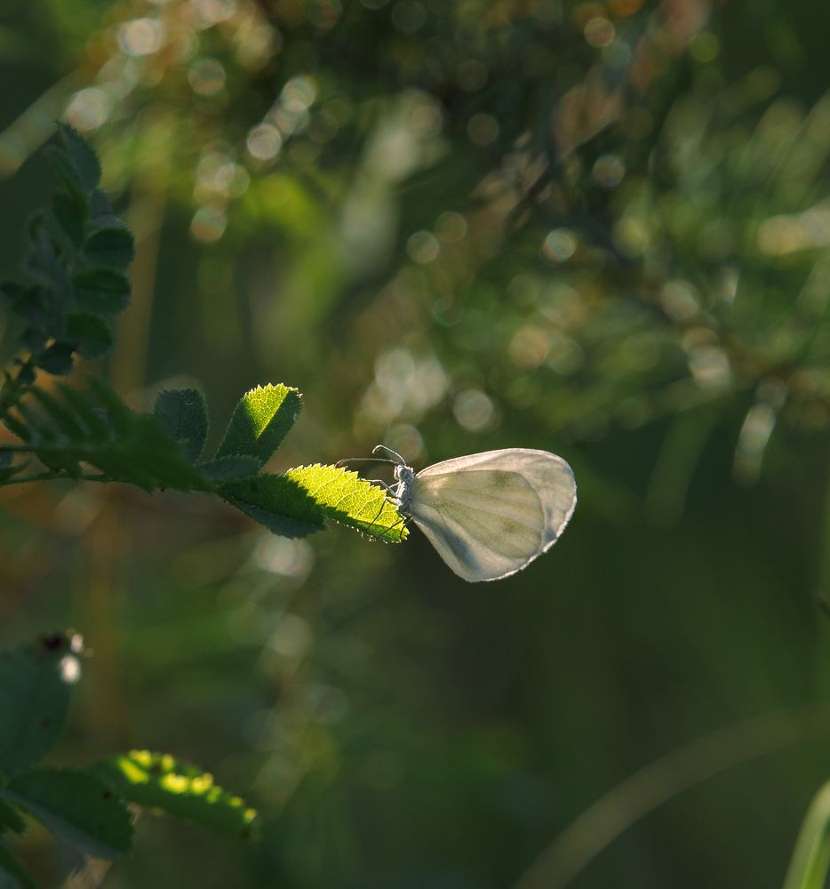 Photograph by Taтьяна Войлокова