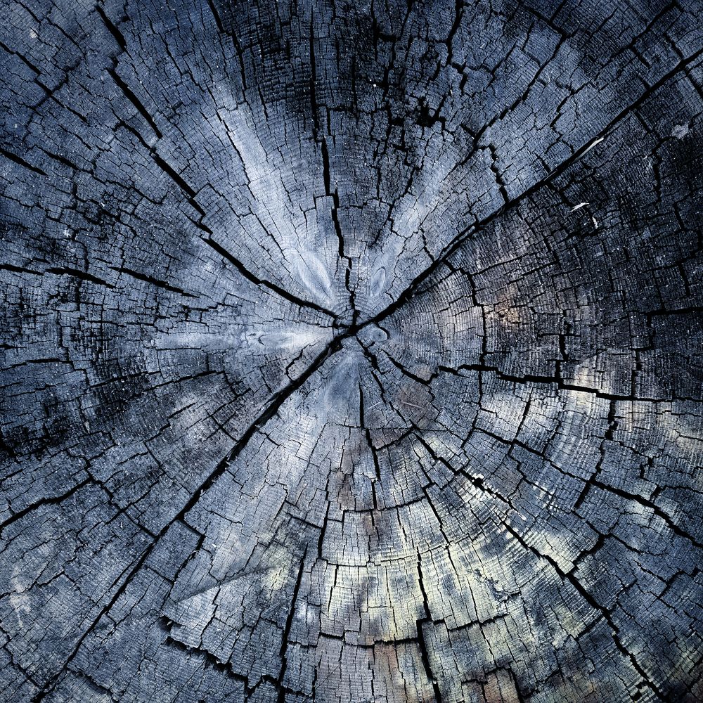 Photograph by Наталья Муравейко