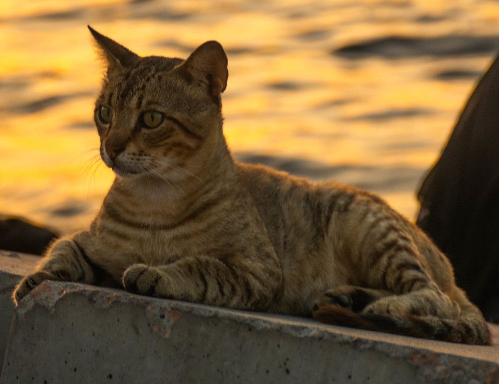 Photograph by Eslam ElsayedEldaramlly