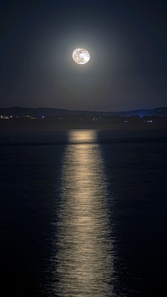 Фотография автора Алексей Головатый