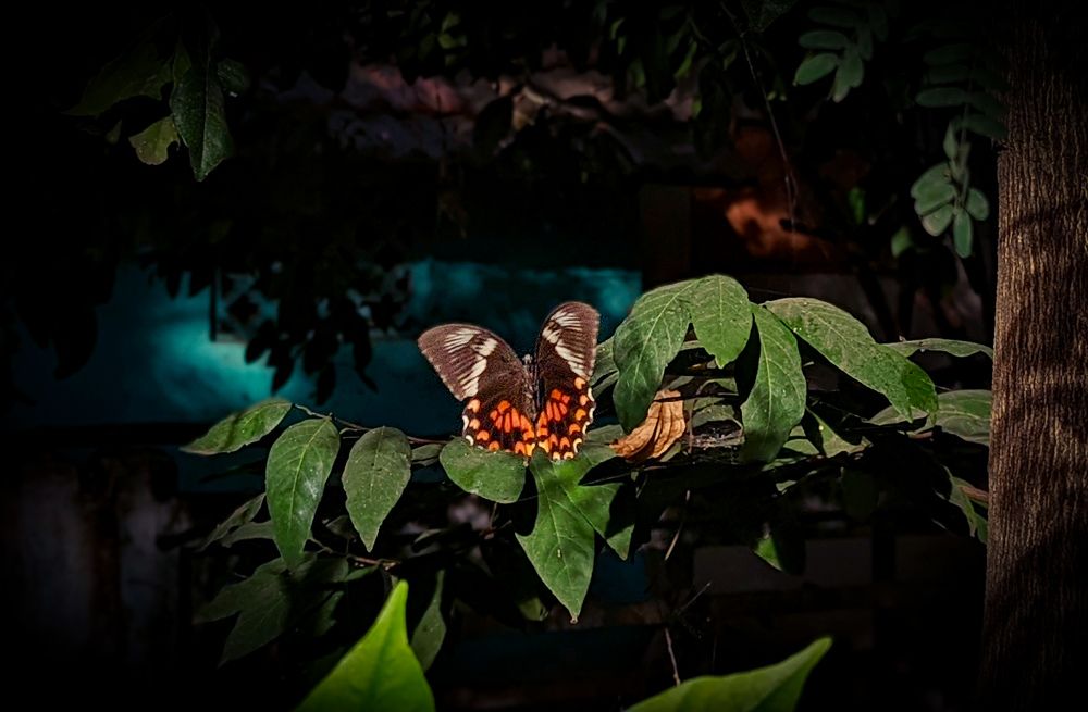 Photograph by SARAVANA MANICKAM