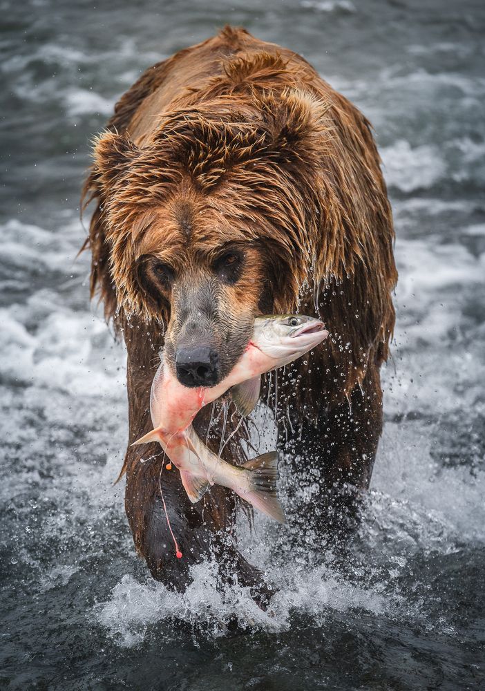 Amidst the river fury