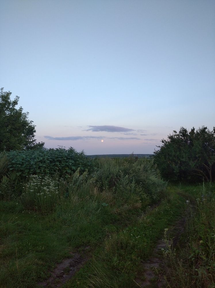 Photograph by Елена Коробченко