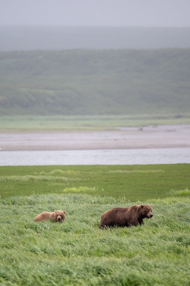 Фотография автора Parth Shiras