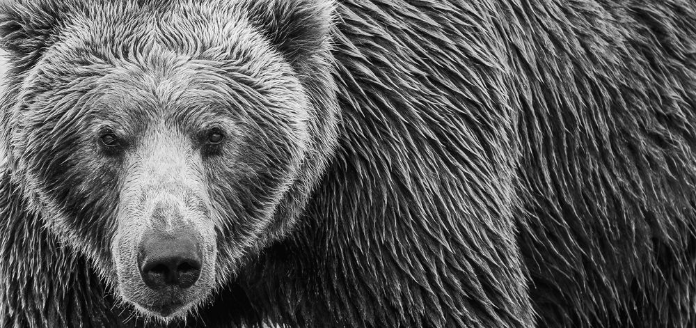 Фотография автора Parth Shiras