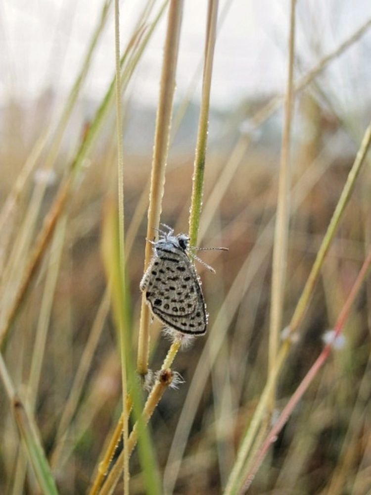 Photograph by Shalabh Srivastava
