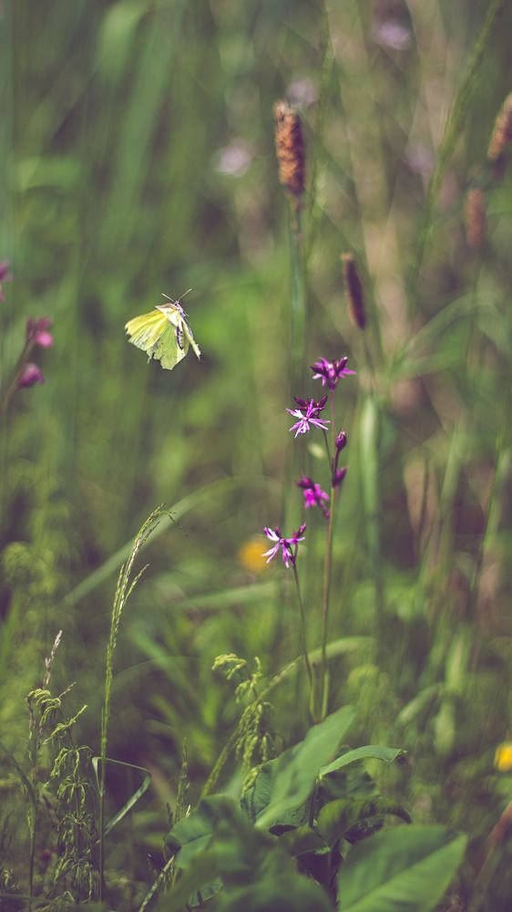 Photograph by Ольга Дорошенко