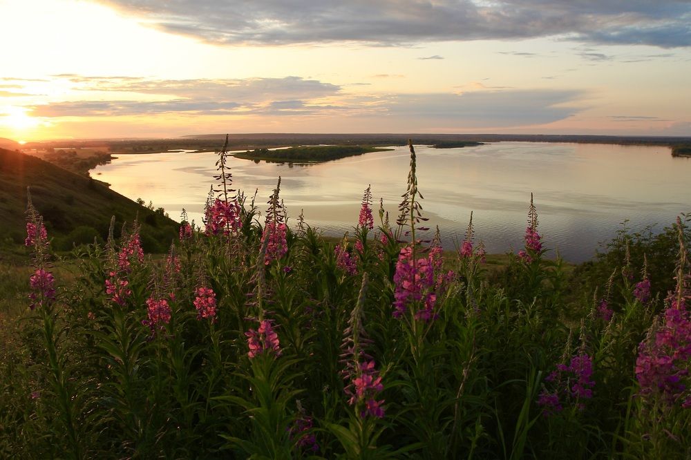 В лучах уходящего солнца