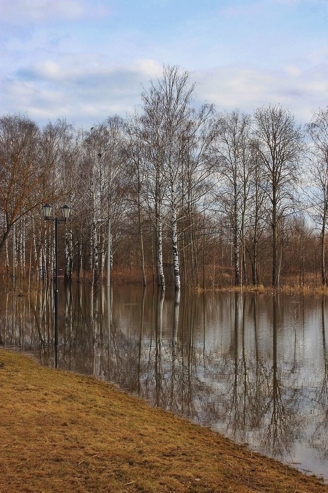 Photograph by Елена Силантьева