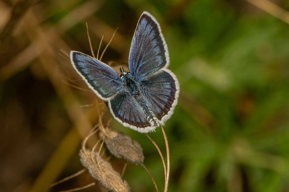 Photograph by Виталий Маслов