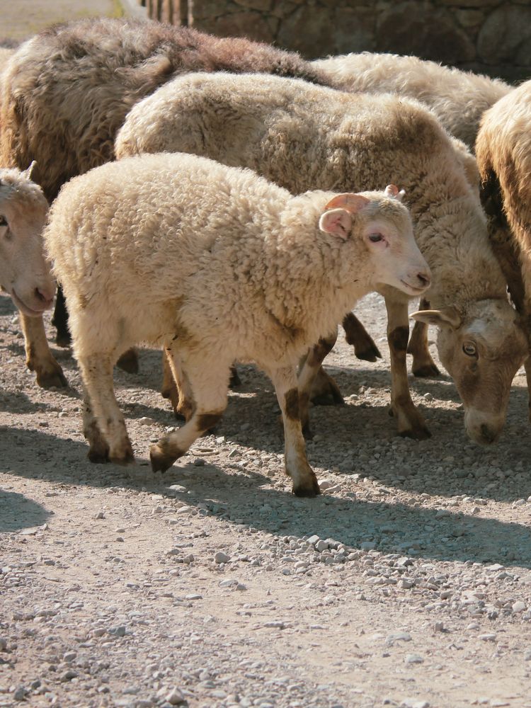 Фотография автора Таня Долгушева