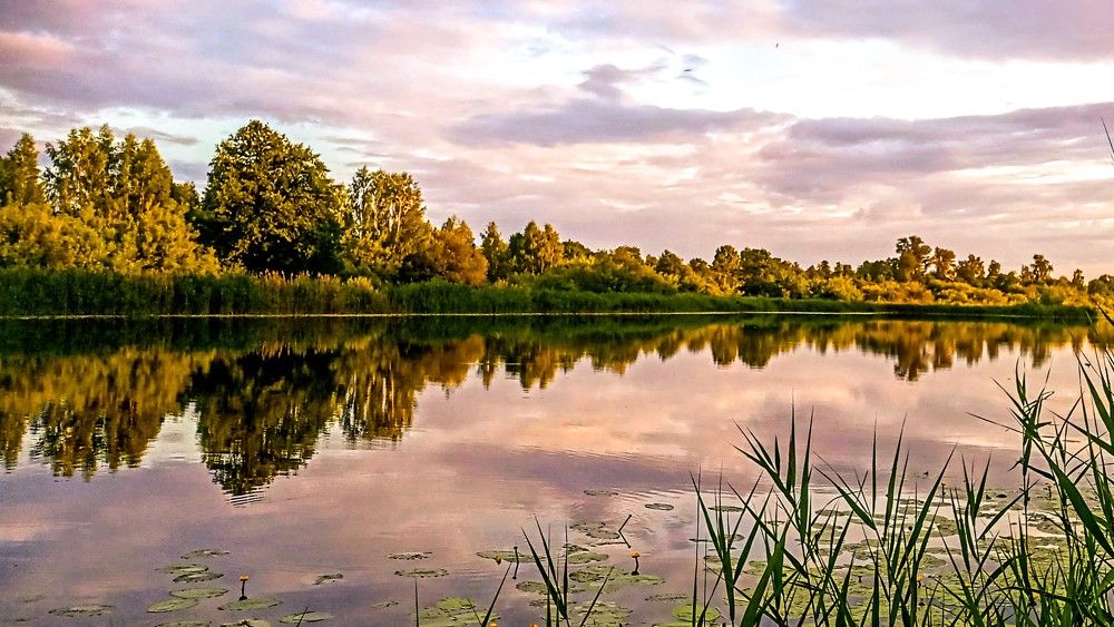 Photograph by Светлана Рухманова