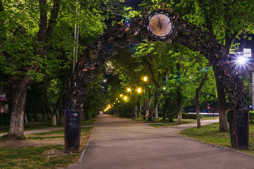 ночь в парке