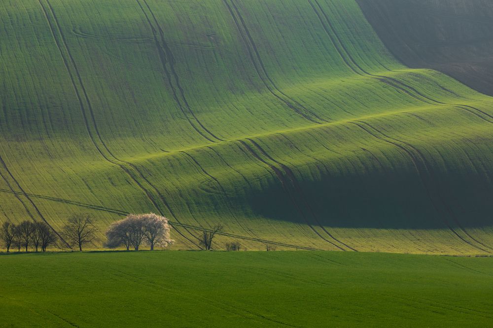 Photograph by Евгения Чех