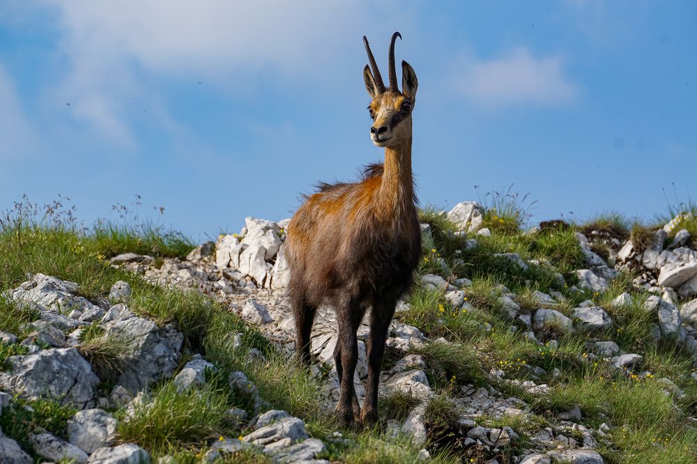 Photograph by George Catalin Serbu