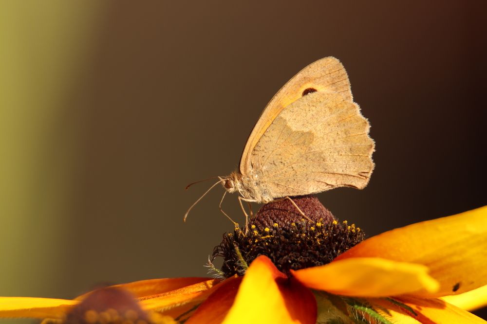 Photograph by Olga Bokareva