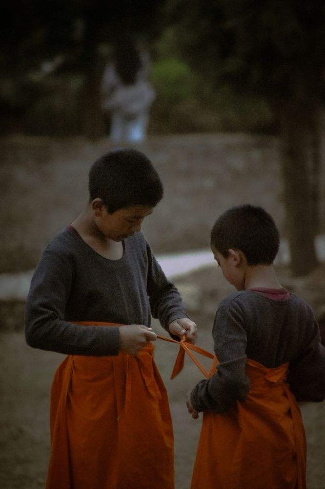 Photograph by Nilormi Paul