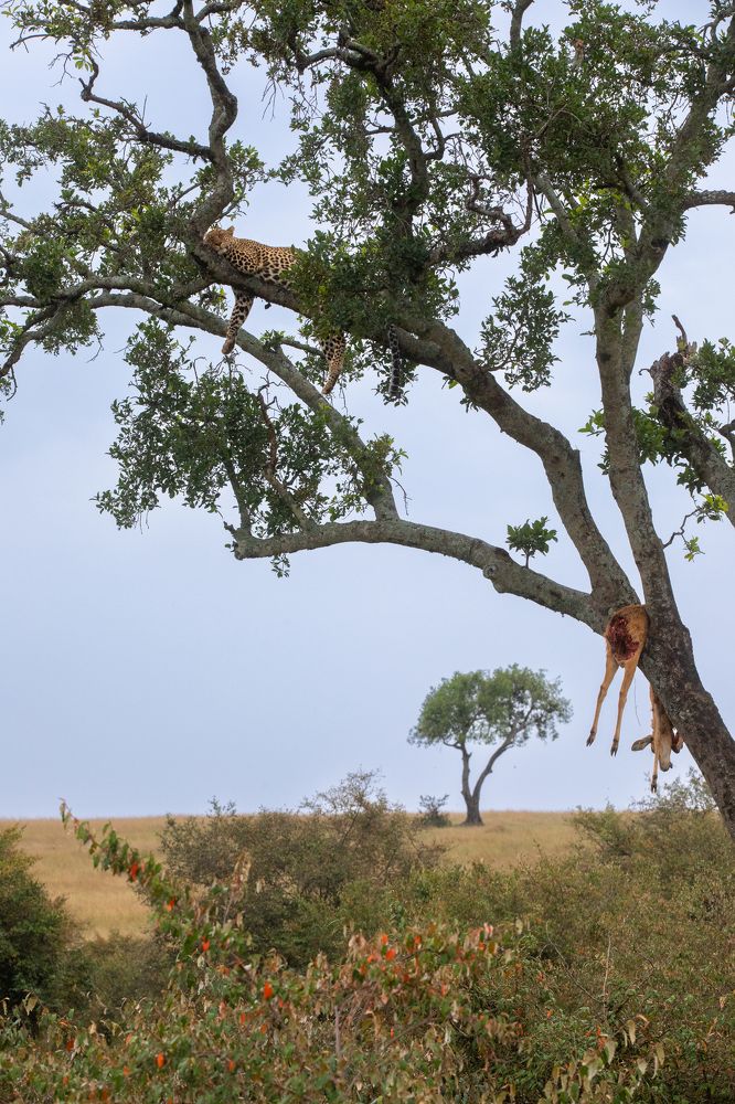 Photograph by SaiKiran Bhagavatula