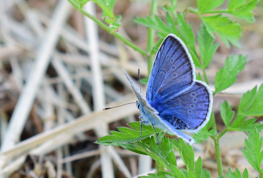 Фотография автора Оксана Льдинина