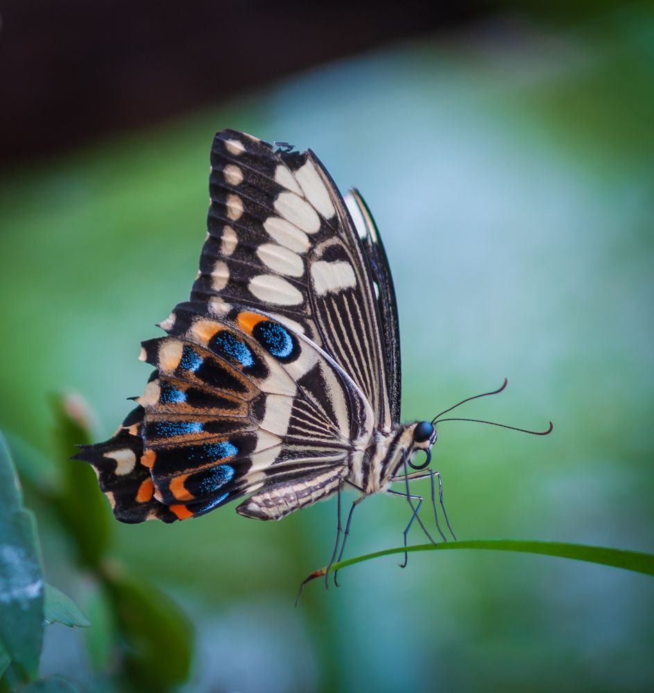 Photograph by Agita Leimane