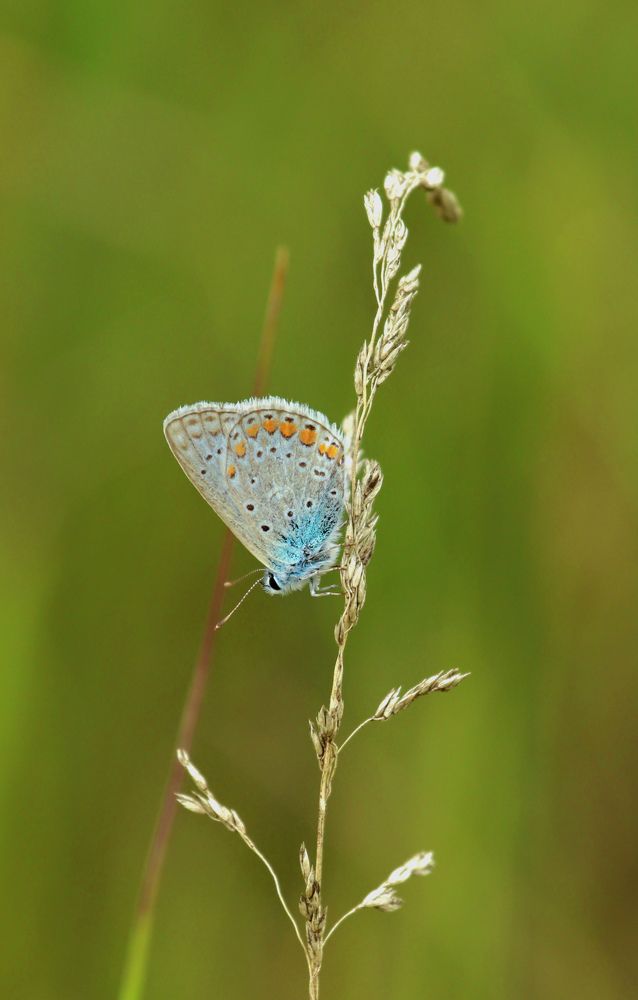 Photograph by Вася Кадочников