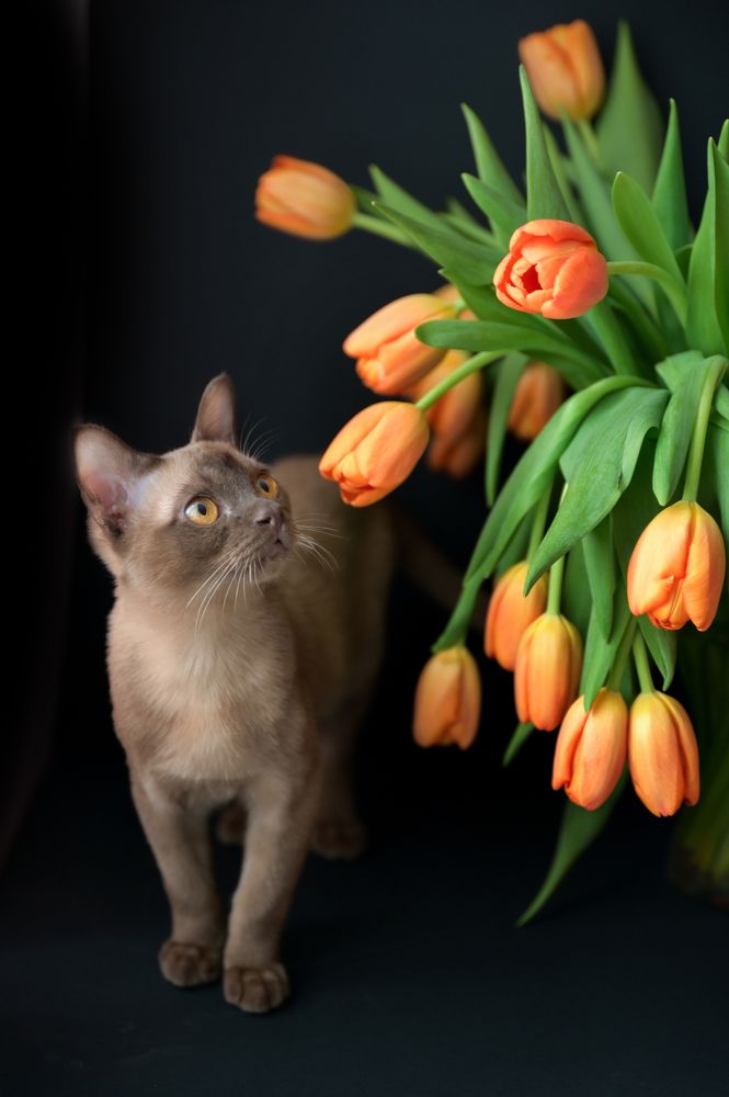 Photograph by Наталия Моргунова