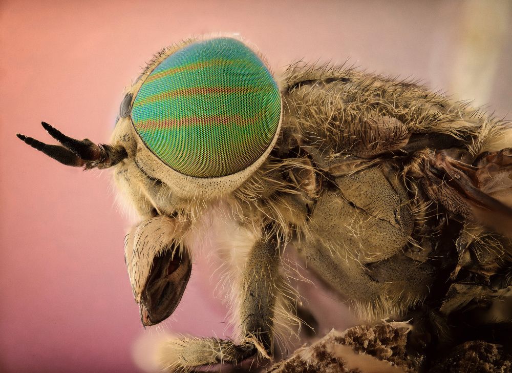 Photograph by Евгений Жуланов