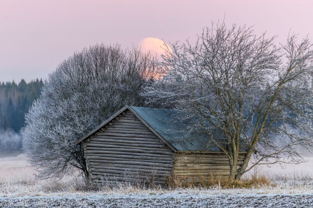 Photograph by Katrin Lillenthal