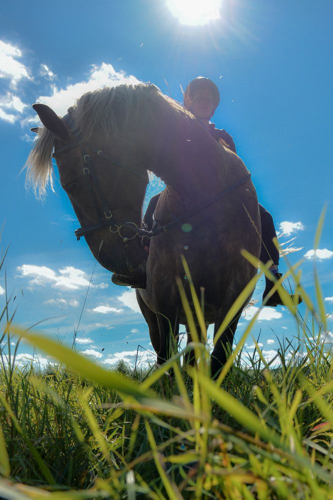 Photograph by Алексей Ильин