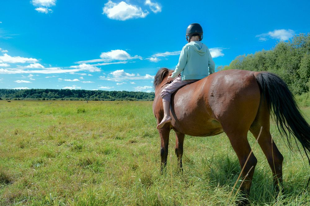 Photograph by Алексей Ильин