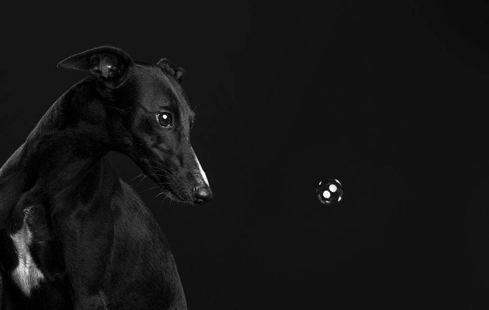 Photograph by наталья залогина