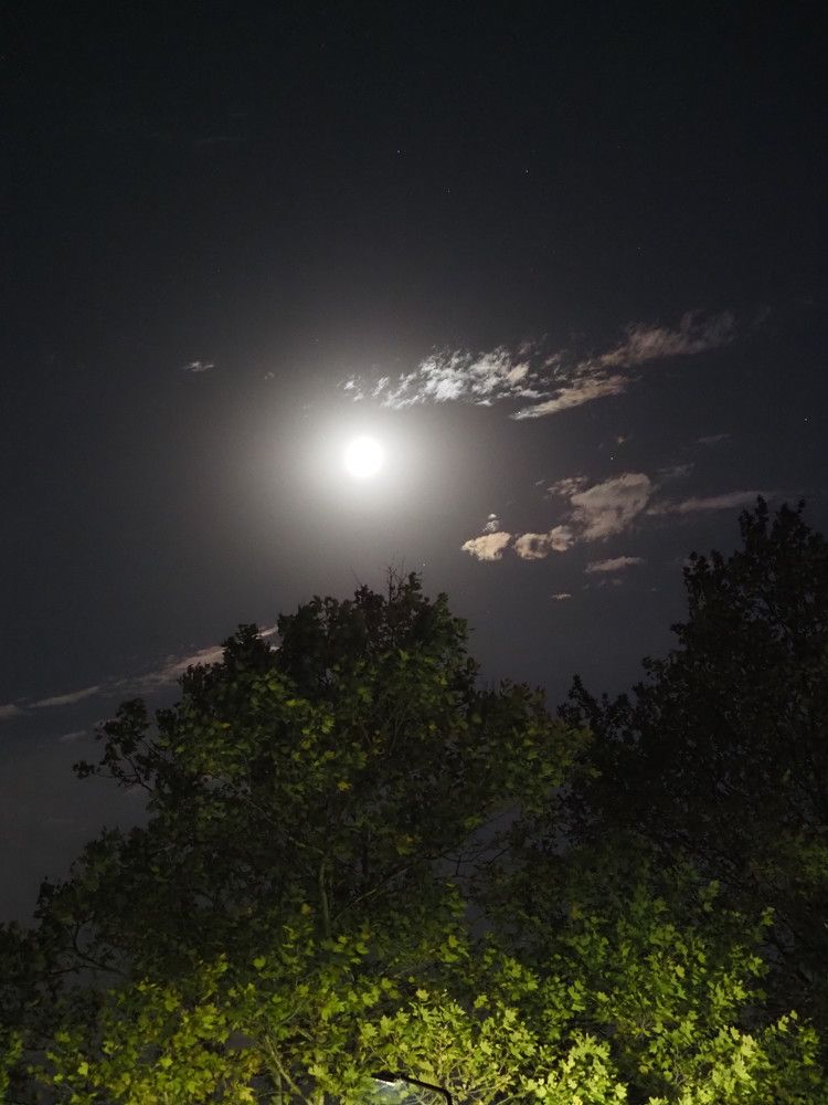 Photograph by Сергей Борисов