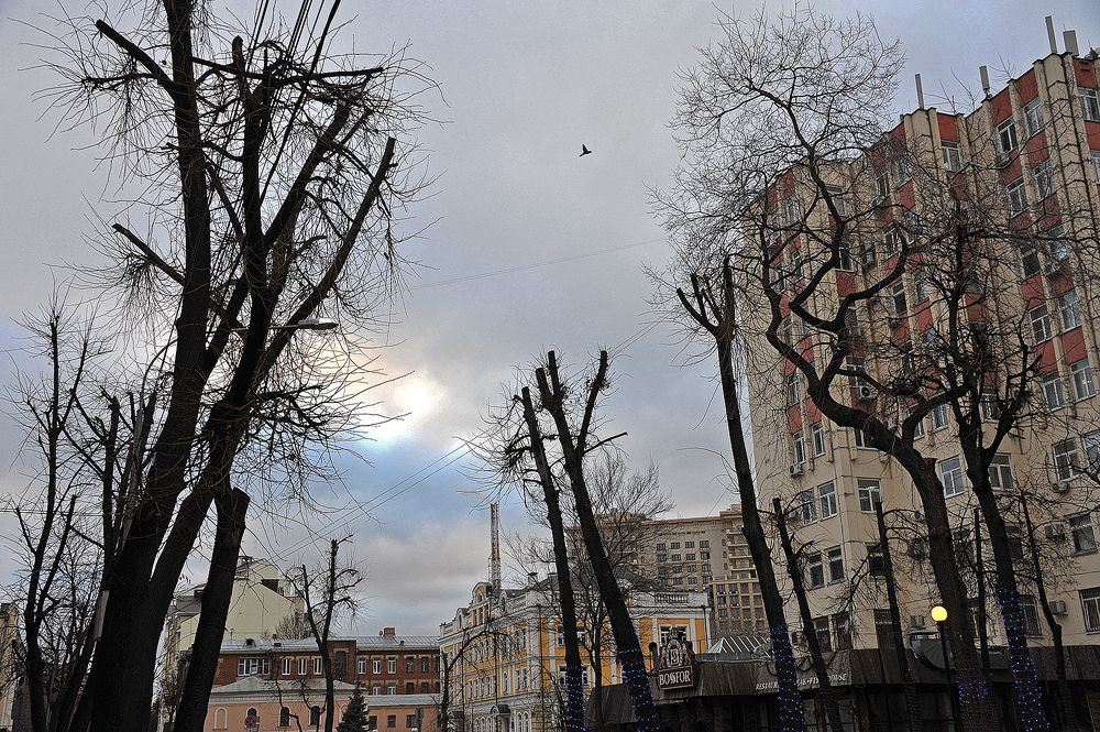 ХМУРОЕ  УТРО