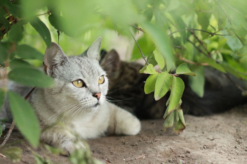 Photograph by Кристина Альшанская