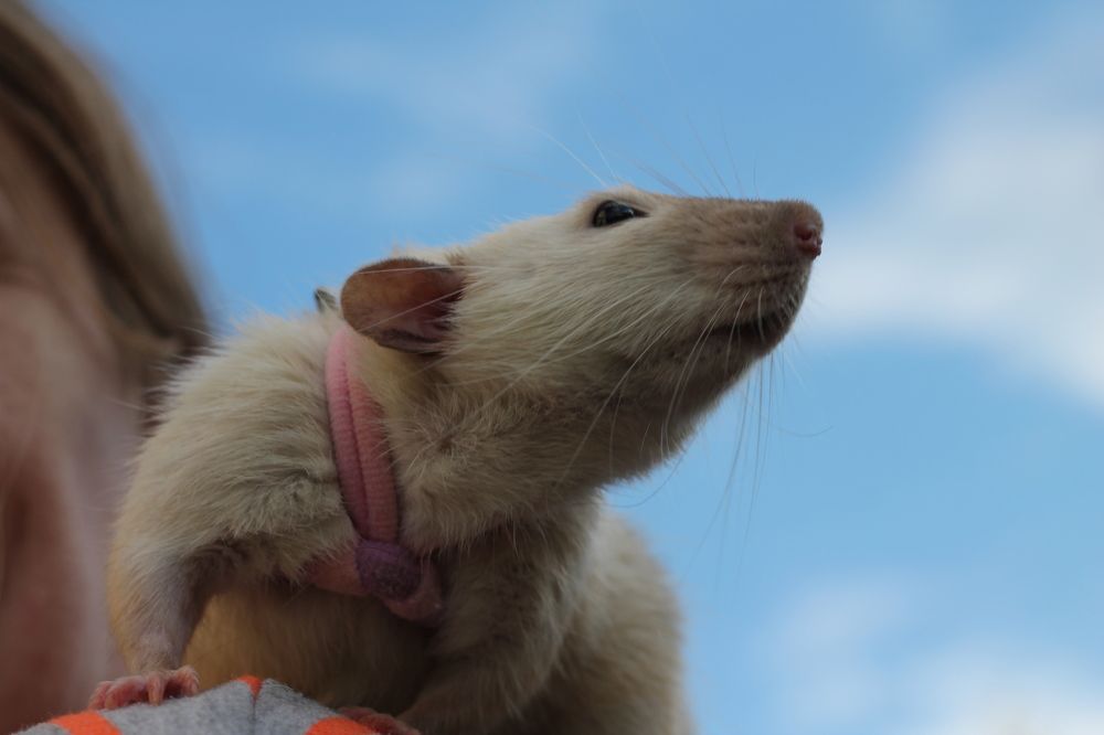 Photograph by Кристина Альшанская