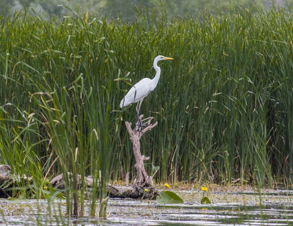 Photograph by Sergey Paramonov