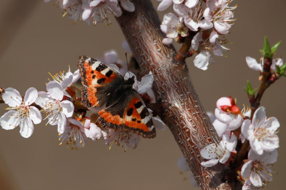 Photograph by Наталья Трифуз