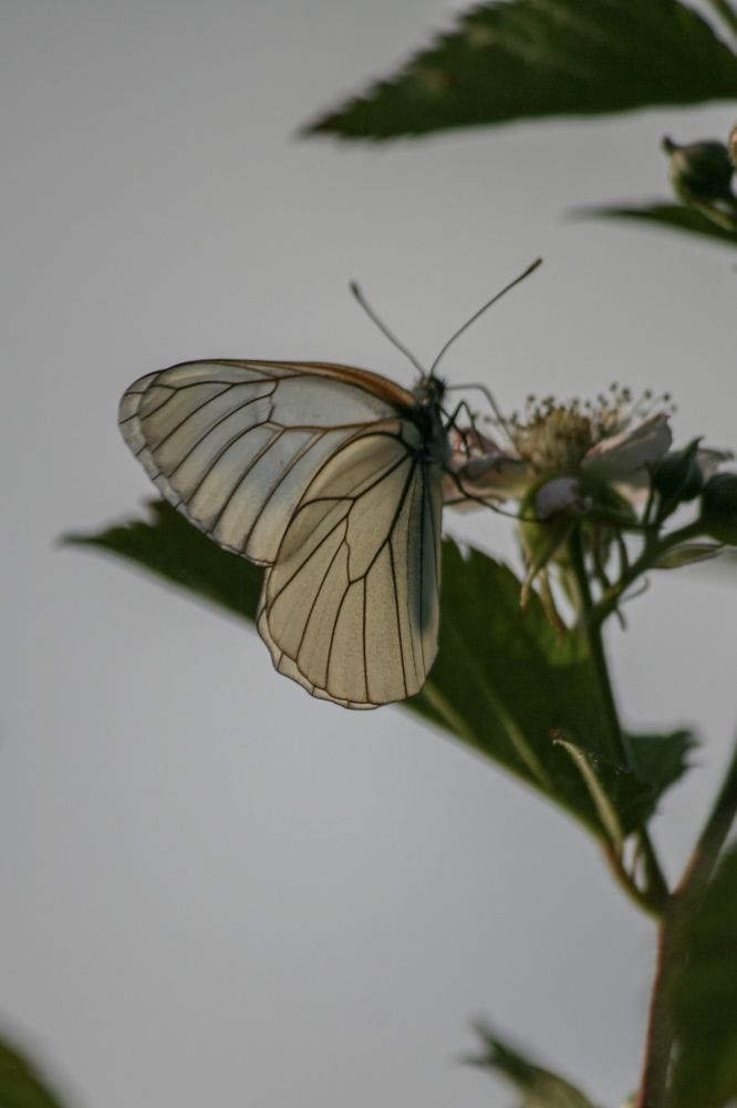 Photograph by Ксения Минаева
