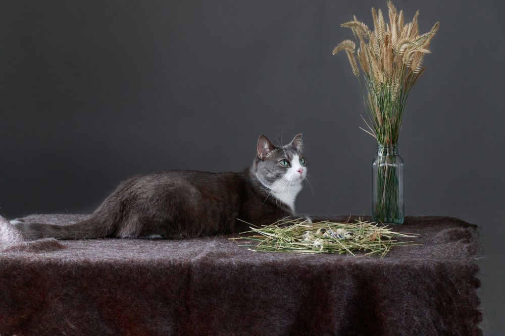 Photograph by Егорова Оксана