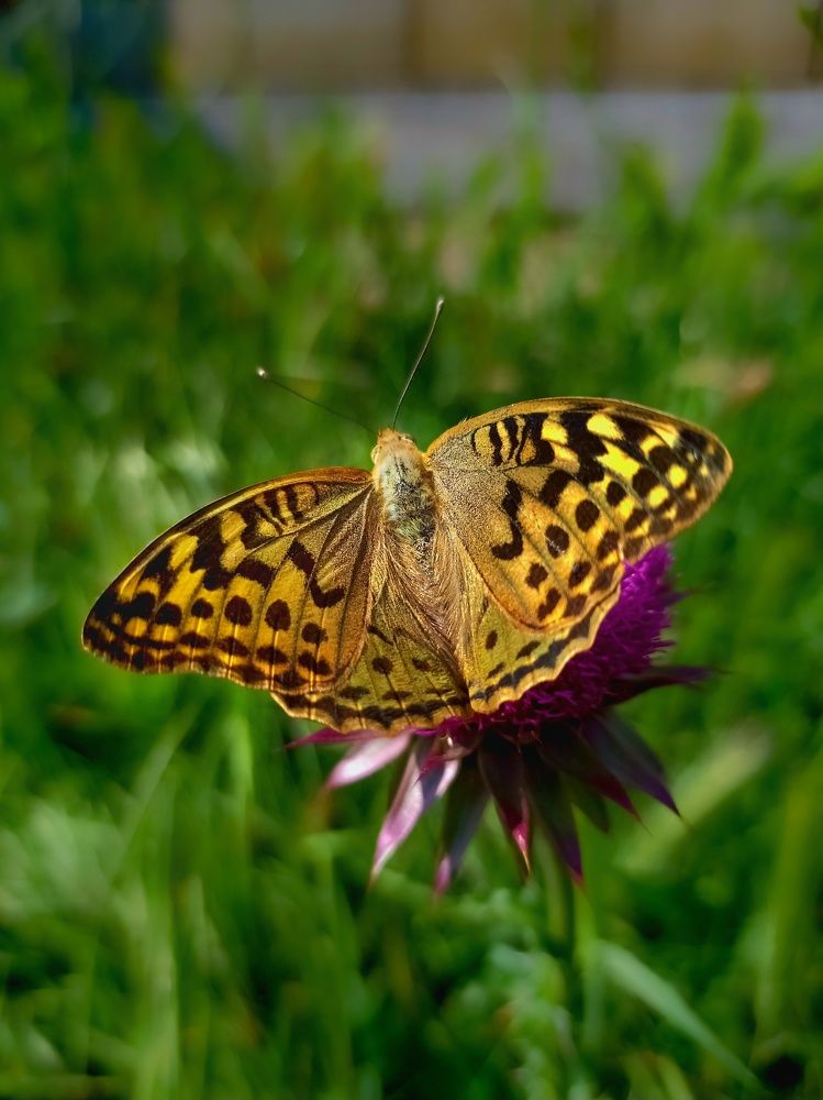 Photograph by Лариса Когтева