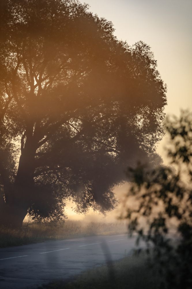 Photograph by Tatyana Yudina