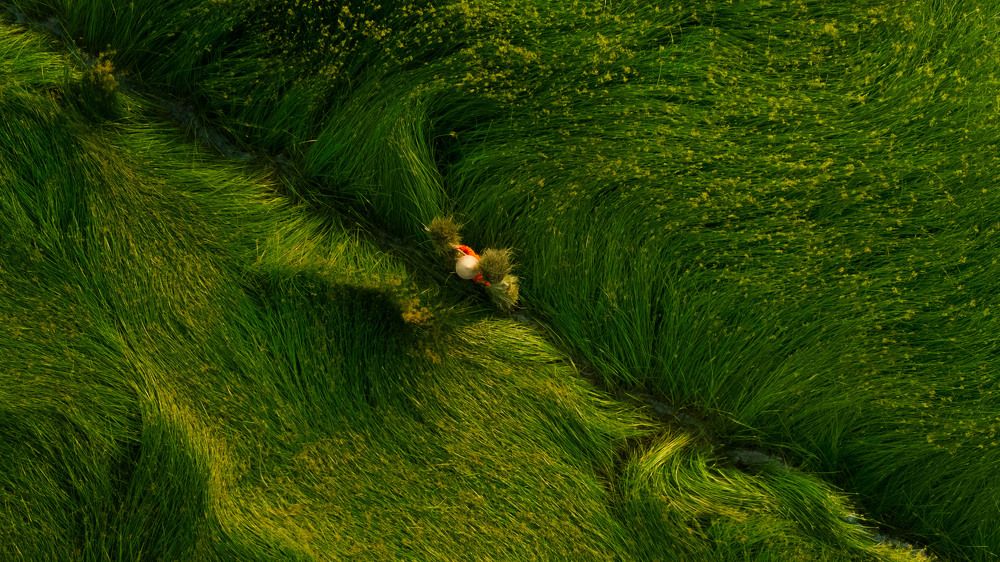 Фотография автора Dao Ngoc Canh