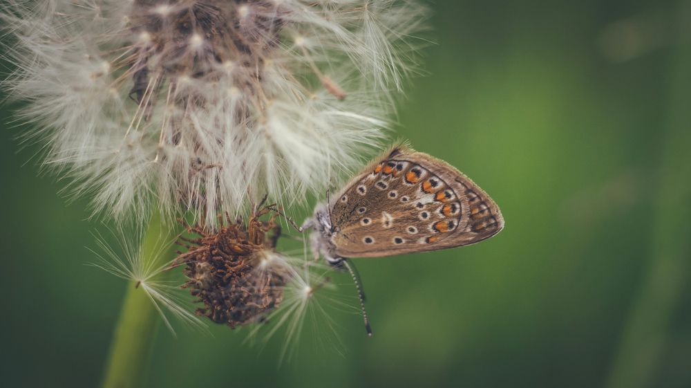 Photograph by Denis Romanov