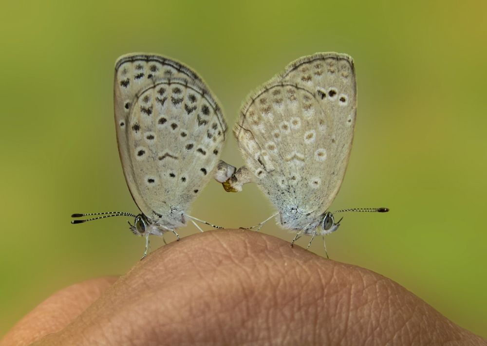 It's a sign that God wants to reveal something to you.