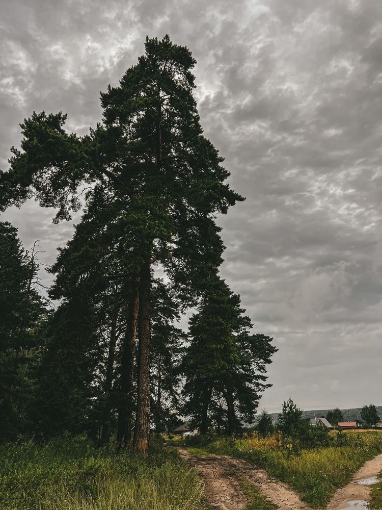 Photograph by Татьяна Санеева