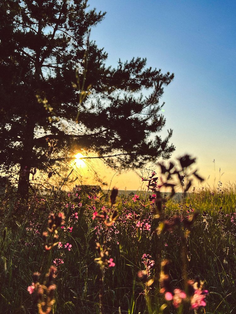 Photograph by Татьяна Санеева