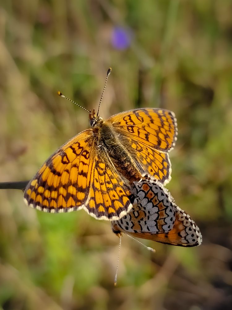 Photograph by Лариса Когтева